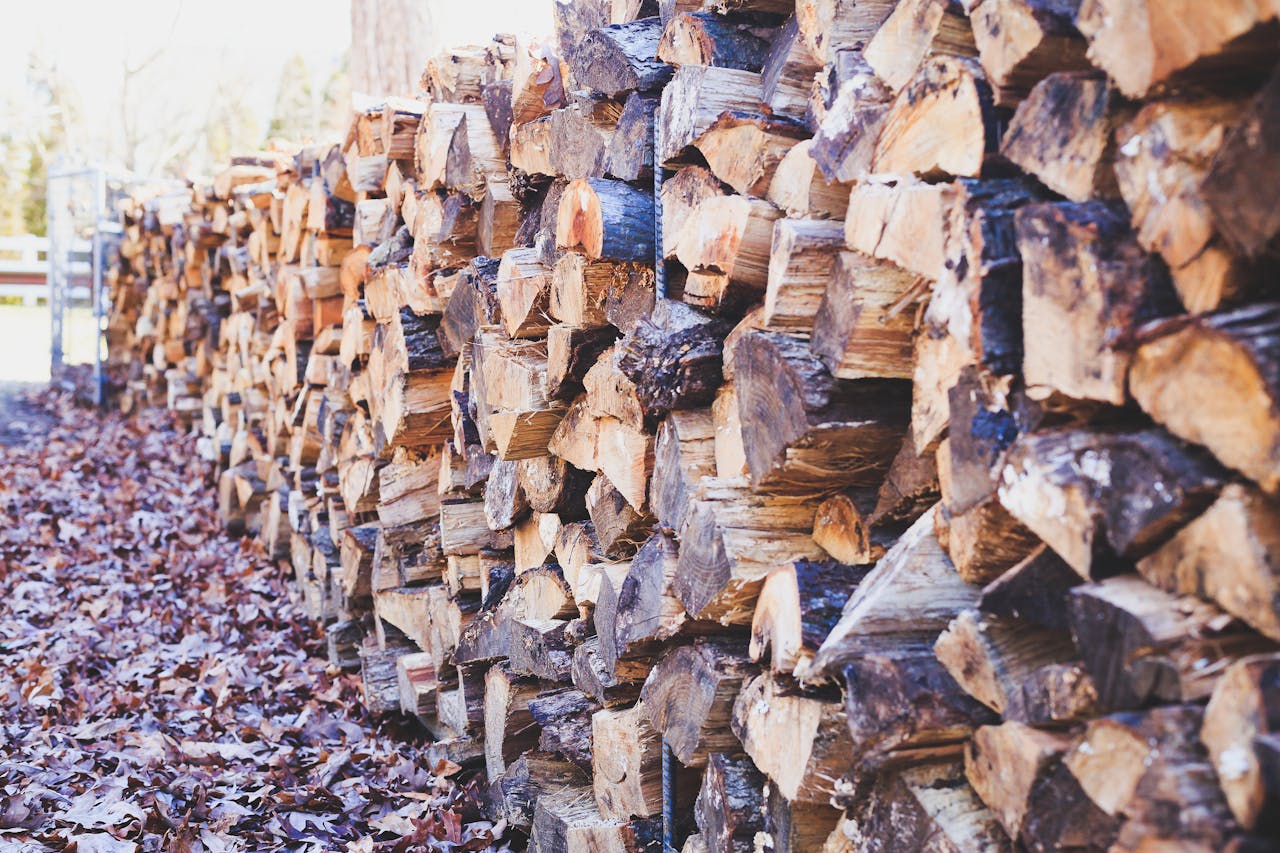 A close-up of stacked firewood on a leaf-covered ground, showcasing texture and outdoor ambiance.